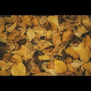 Meet your Posher, Carla